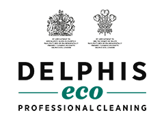 Delphis Shower Cleaner - 700ml